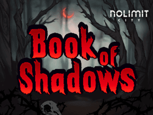 Book Of Shadows game thumbnail